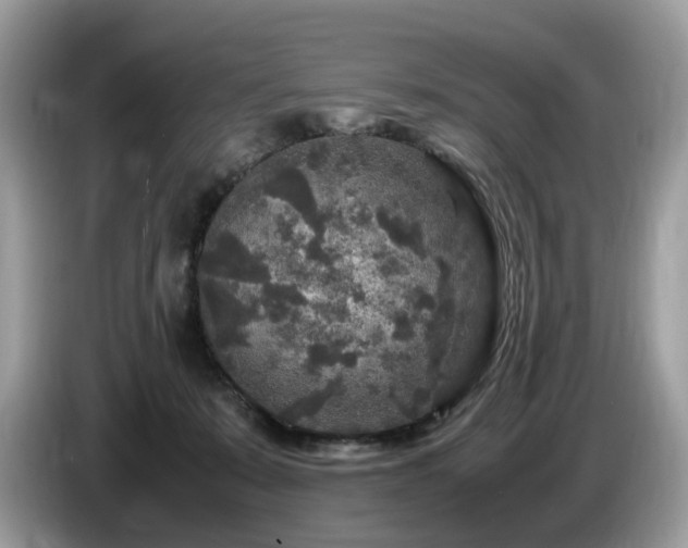 X0000087620319200704271403
