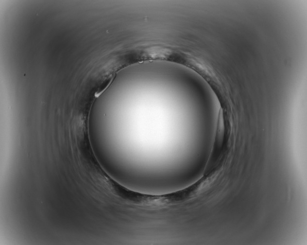 X0000087620321200704271403