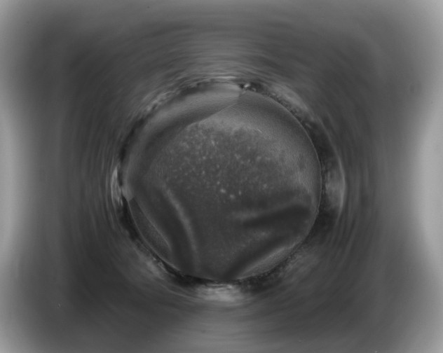 X0000087620322200704271403