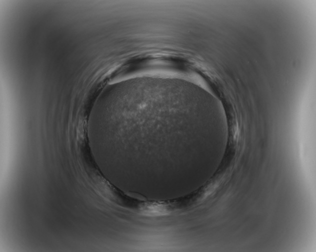 X0000087620325200704271403