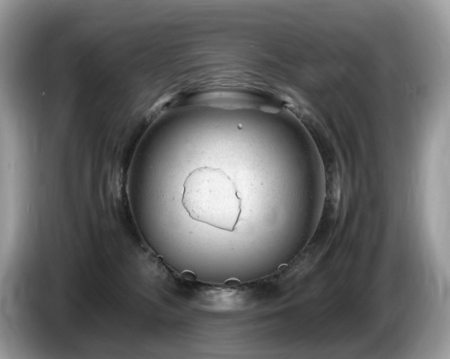 X0000087620326200704271403