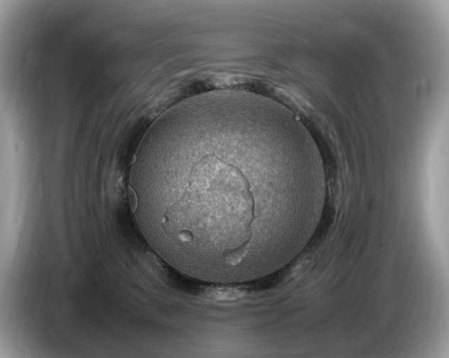 X0000087620327200704271403