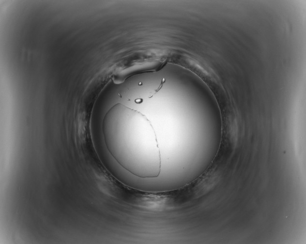 X0000087620328200704271403