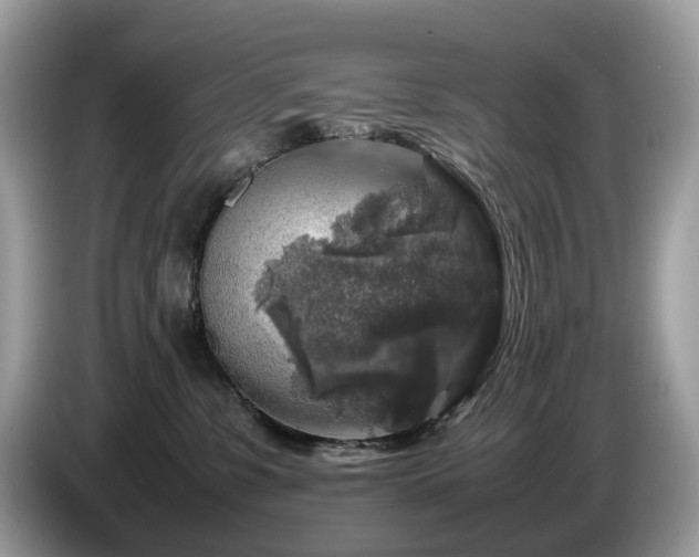 X0000087620331200704271403