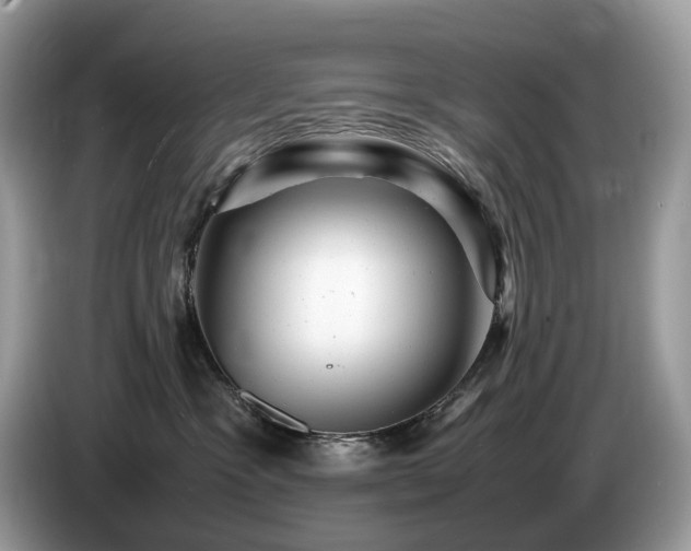 X0000087620333200704271403