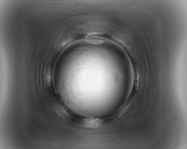 X0000087620334200704271403