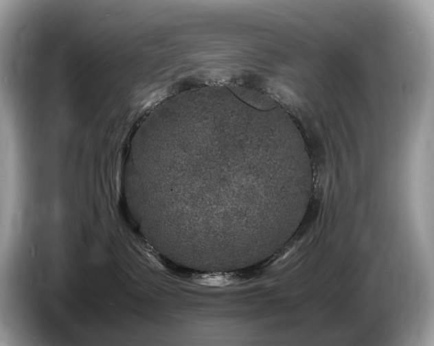 X0000087620335200704271403