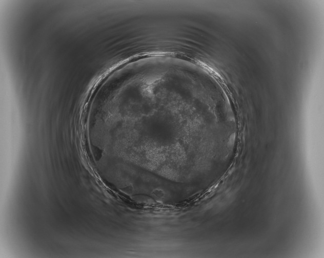 X0000087620337200704271402