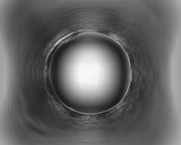 X0000087620338200704271402