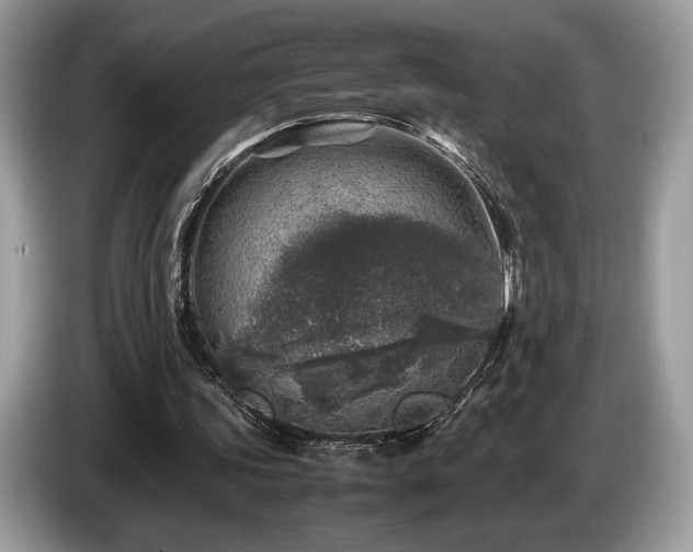 X0000087620339200704271402