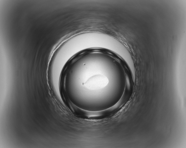 X0000087620340200704271402