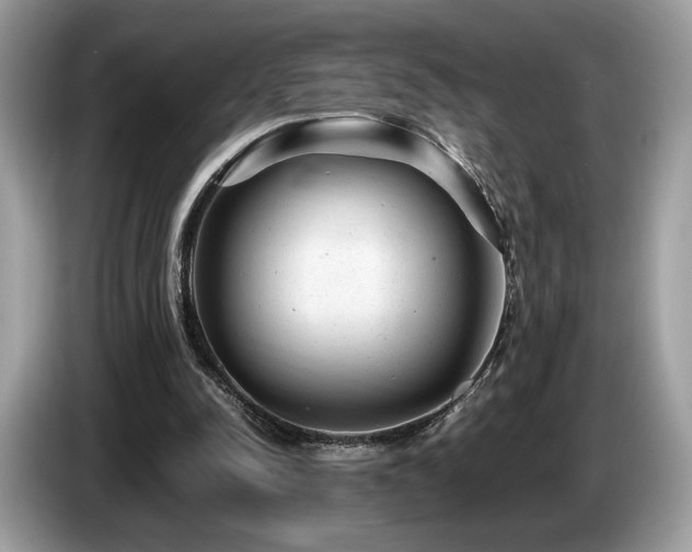 X0000087620342200704271402