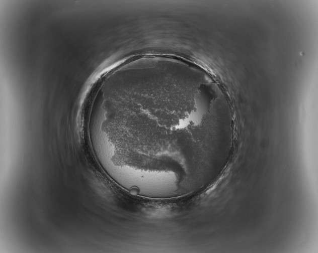 X0000087620343200704271402