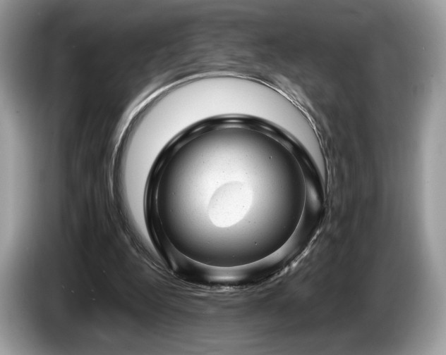 X0000087620344200704271402