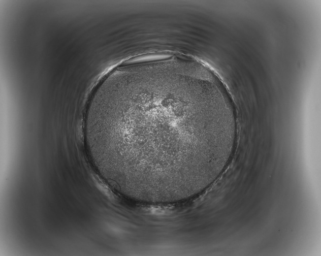 X0000087620345200704271402
