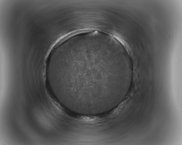 X0000087620346200704271402
