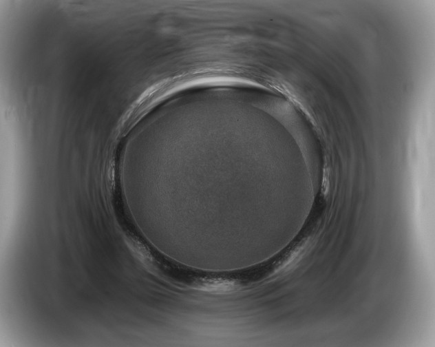 X0000087620348200704271402