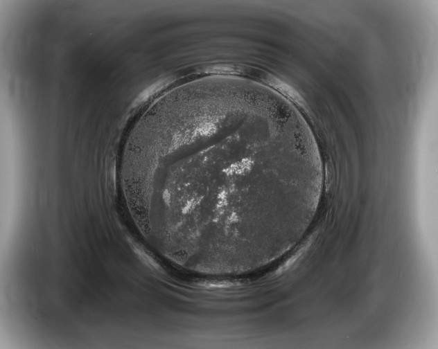 X0000087620349200704271402