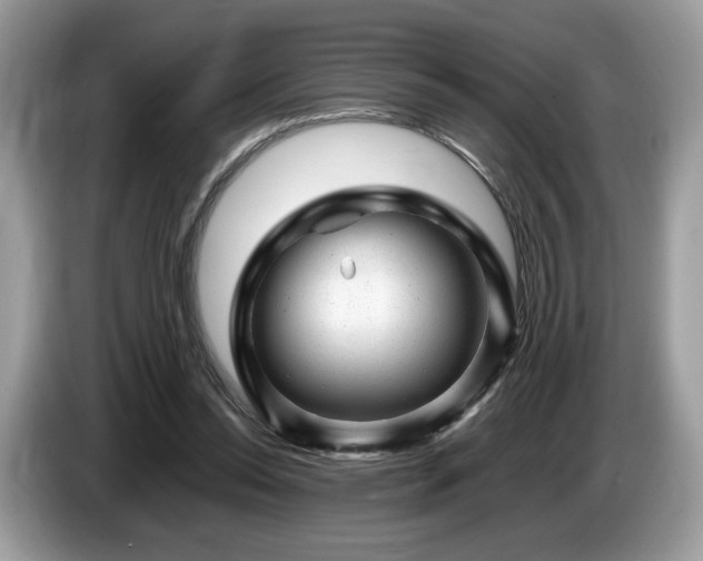 X0000087620350200704271402