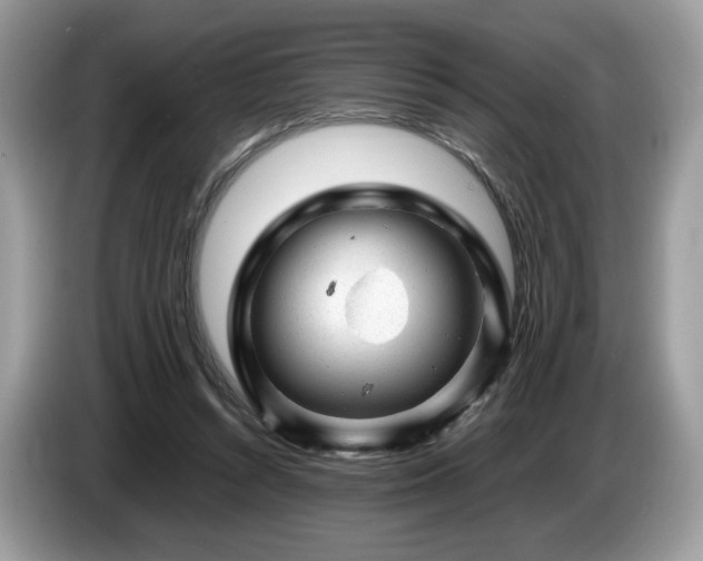 X0000087620352200704271402