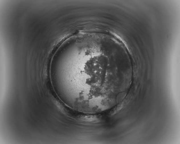 X0000087620353200704271402