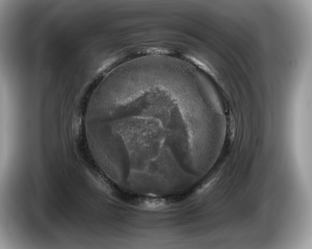 X0000087620355200704271402
