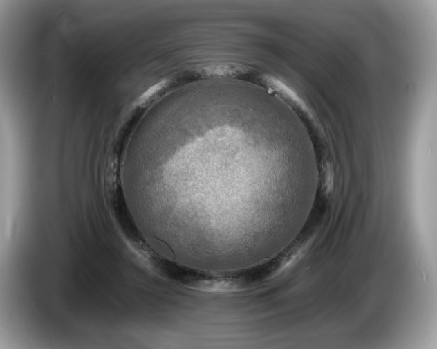 X0000087620356200704271403