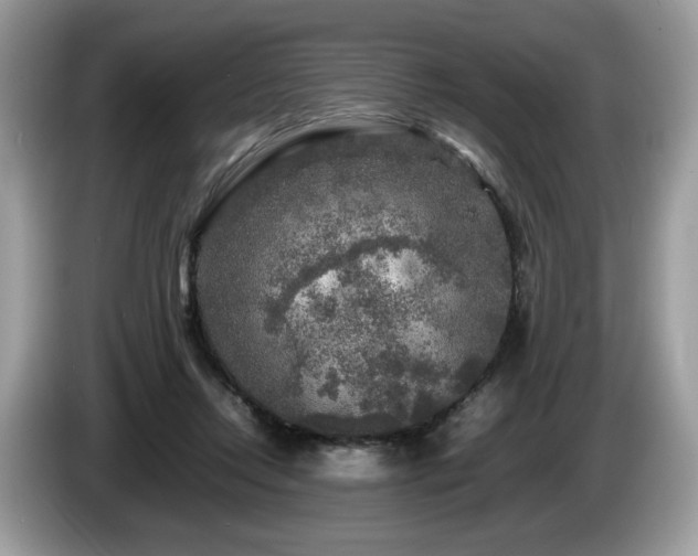 X0000087620358200704271403