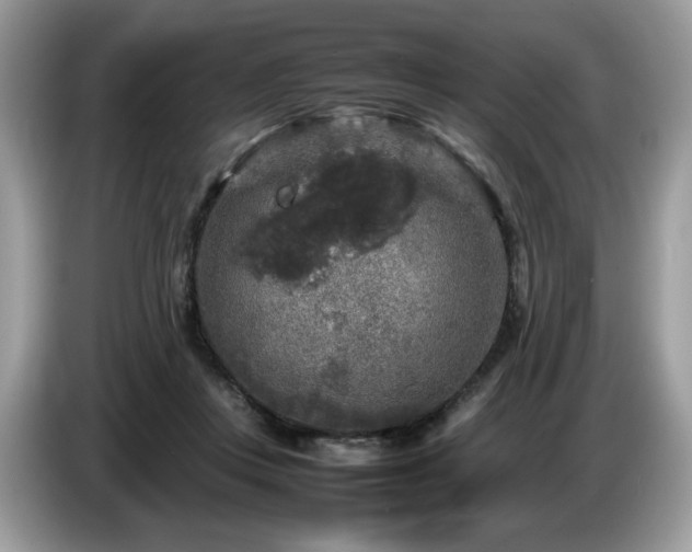 X0000087620359200704271403