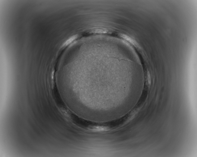 X0000087620360200704271403