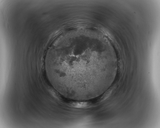 X0000087620361200704271403