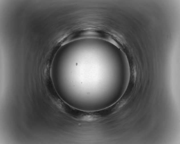 X0000087620364200704271403