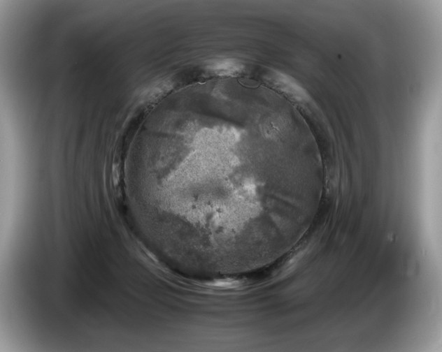 X0000087620365200704271403