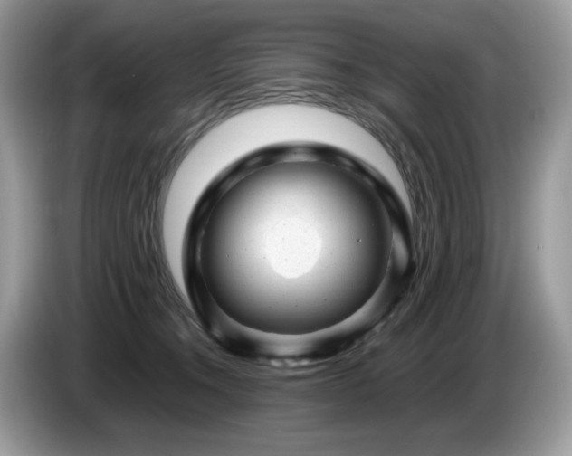 X0000087620372200704271403