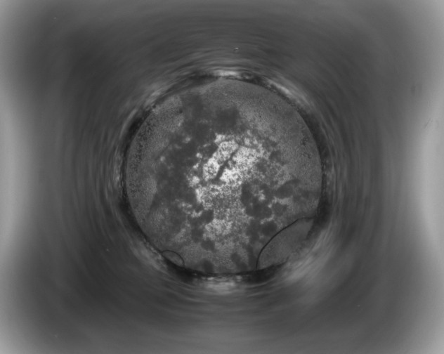 X0000087620373200704271403