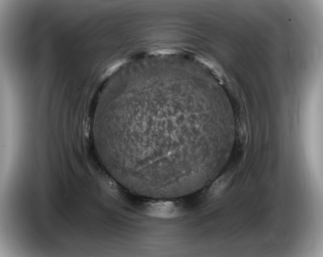 X0000087620374200704271403