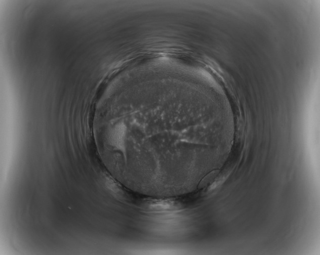 X0000087620377200704271403
