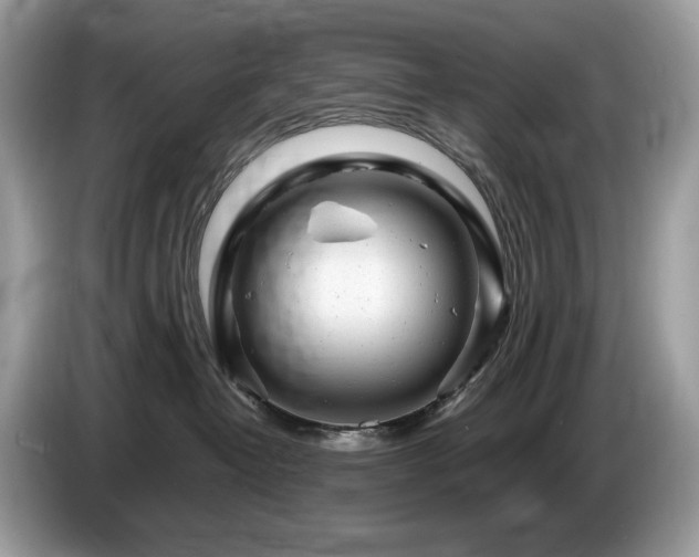 X0000087620382200704271403