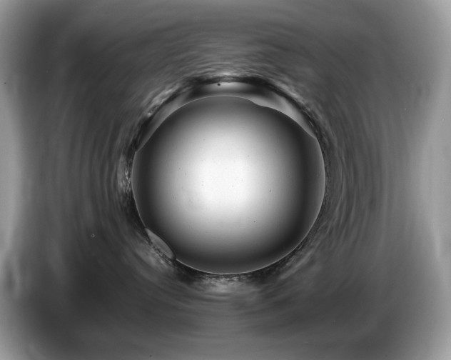 X0000087620384200704271403