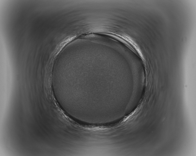 X0000087620385200704271402