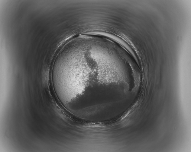 X0000087620386200704271402
