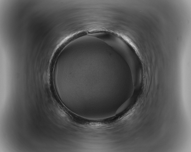 X0000087620391200704271402