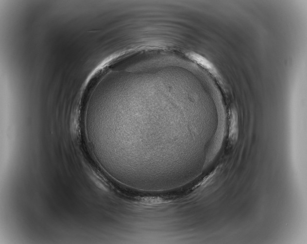 X0000087620392200704271402