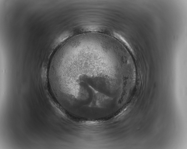 X0000087620394200704271402