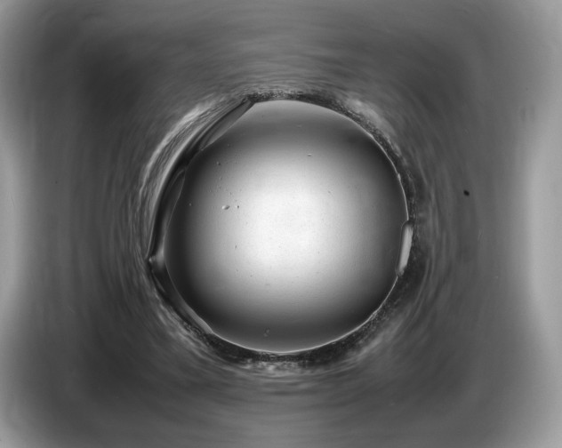 X0000087620395200704271402