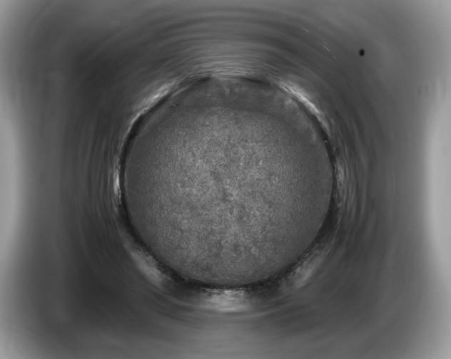 X0000087620398200704271402