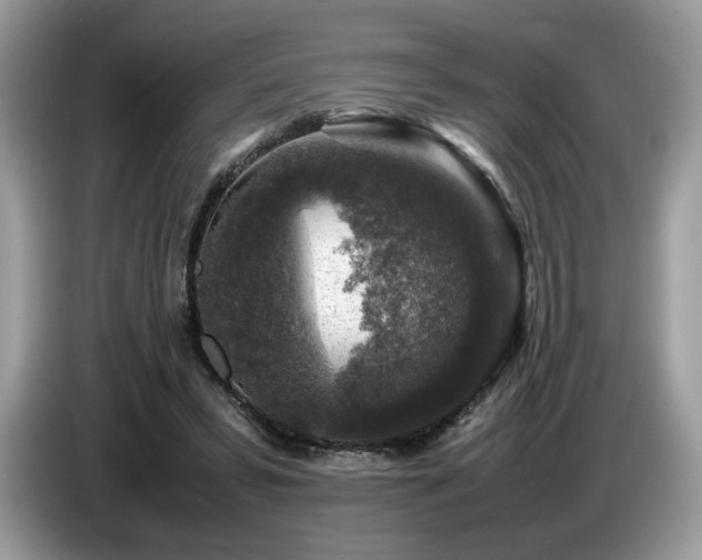 X0000087620399200704271402