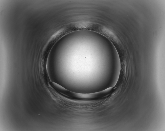 X0000087620400200704271402