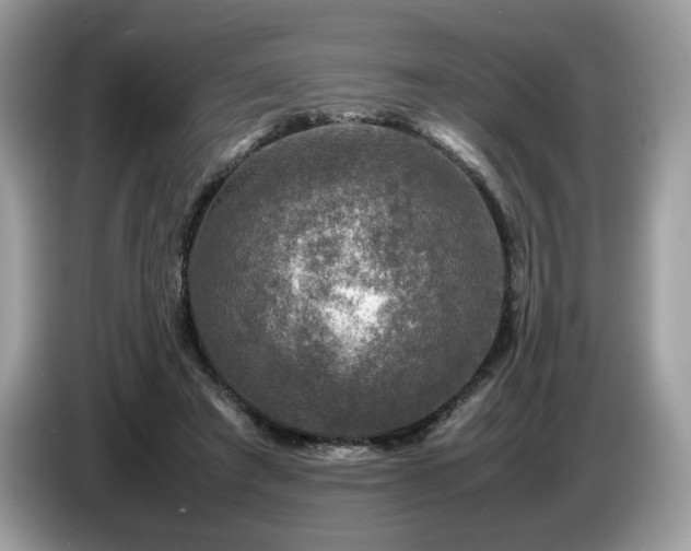 X0000087620401200704271402