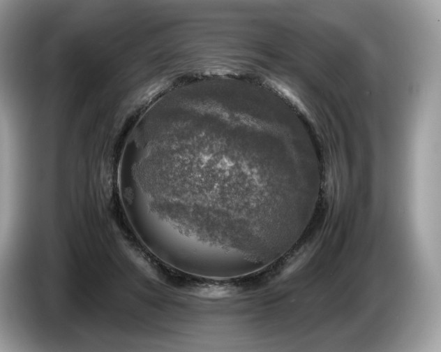 X0000087620402200704271402